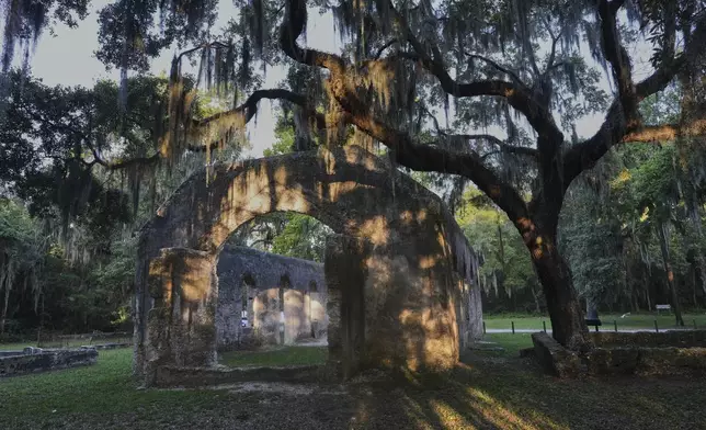 Spanish moss covers oak trees at the ruins of the St. Helena Parish Chapel of Ease on St. Helena Island, South Carolina, Monday, July 21, 2025. (AP Photo/Luis Andres Henao)