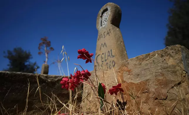 A small patch of crimson flowers lies at the foot of the headstone of a Turkish Cypriot man who died 65 years ago at the Muslim cemetery in the village of Tochni, Cyprus on July 3, 2025. (AP Photo/Petros Karadjias)