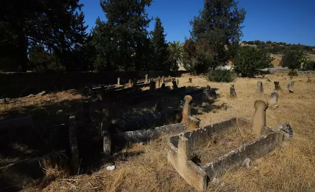 Shade from pine trees covers some of the graves of Turkish Cypriots at the Muslim cemetery in the village of Tochni, Cyprus on July 3, 2025. (AP Photo/Petros Karadjias)