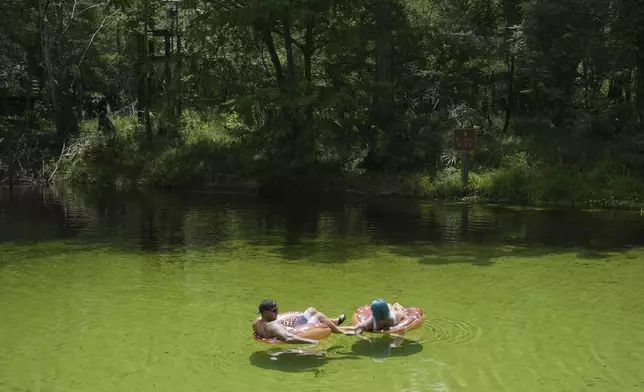 A couple float along Poe Spring amid an algae bloom Tuesday, July 15, 2025, in Alachua County, Fla. (AP Photo/Marta Lavandier)