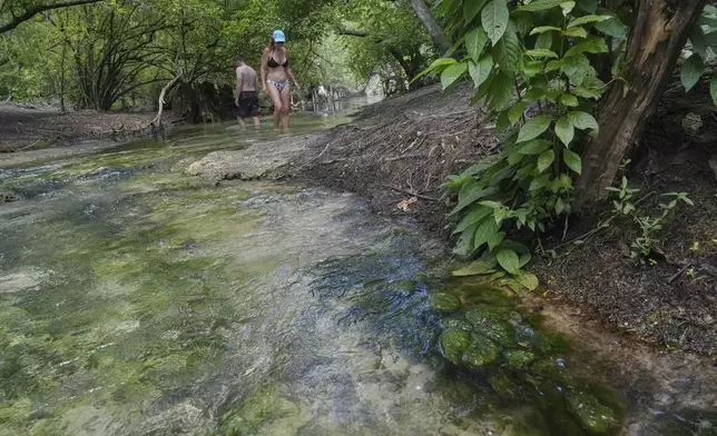 Algae hugs the edge and rocks below the water of Royal Spring on Tuesday, July 15, 2025, in Suwannee County, Fla. (AP Photo/Marta Lavandier)