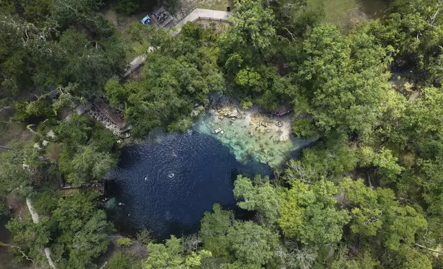 Visitors swim at Royal Spring, Tuesday, July 15, 2025, in Suwannee County, Fla. (AP Photo/Daniel Kozin)