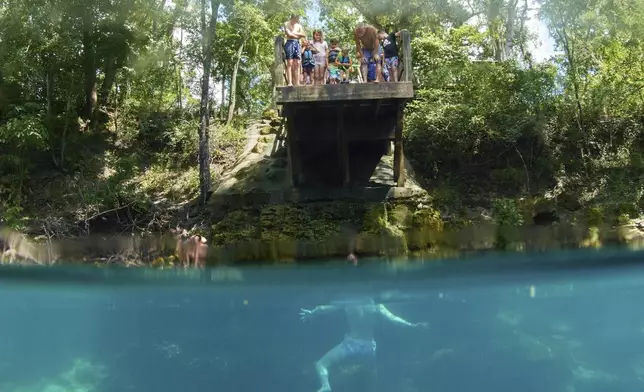 A father encourages his young son to jump into the deep pool in Royal Spring on Tuesday, July 15, 2025, in Suwannee County, Fla. (AP Photo/Marta Lavandier)