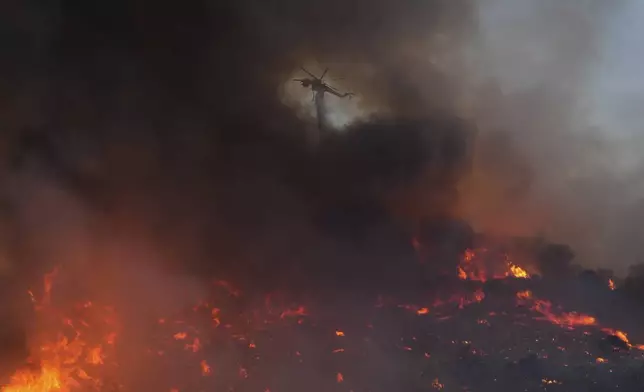 A helicopter drops water over the Canyon Fire on Thursday, Aug. 7, 2025, in Halsey Canyon, Calif. (AP Photo/Marcio Jose Sanchez)