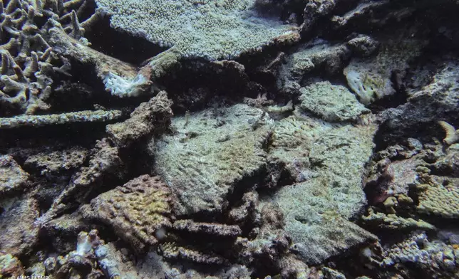 Broken hard coral is seen at Lady Musgrave Island following storm damage on the northern Great Barrier Reef in far North Queensland, Australia, on Nov. 6, 2024. (Australian Institute of Marine Science via AP)