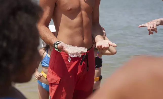 Lewes Beach Patrol Lieutenant Landon Hudson holds a pair of moon jellyfish during a wildlife education presentation at Savannah Beach, in Lewes, Del., before releasing the jellyfish back into the wild on Wednesday, July 30, 2025. (AP Photo/Mingson Lau)