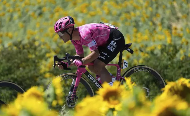 Italy's Vincenzo Albanese rides past a sunflower field during the 11th stage of the Tour de France cycling race in Toulouse, France, July 16, 2025. (AP Photo/Mosa'ab Elshamy)