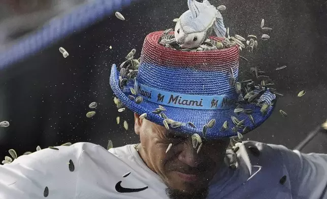 Miami Marlins' Heriberto Hernandez is doused with sunflower seeds in the dugout after hitting a home run in the third inning of a baseball game against the Houston Astros, Wednesday, Aug. 6, 2025, in Miami. (AP Photo/Rebecca Blackwell)