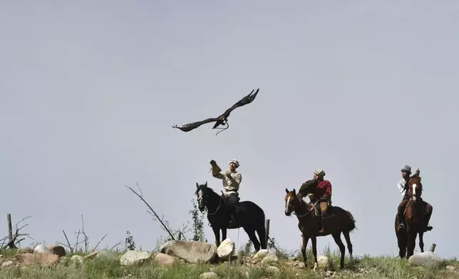 Kyrgyz hunters with golden eagles compete during the Traditional Eagle Hunting Salbuurun Festival on the southern shore of Issyk-Kul lake, 213 km (132 miles) southeast of Bishkek, Kyrgyzstan, on Saturday, Aug. 2, 2025. (AP Photo/Vladimir Voronin)