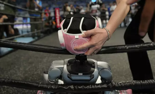 A referee supports the head of a robot after it fell during the Free Combat event at the World Humanoid Robot Games held in Beijing, China, Friday, Aug. 15, 2025. (AP Photo/Mahesh Kumar A.)