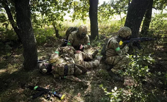 A Ukrainian National Guard serviceman of 3rd brigade «Spartan» applies a tourniquet to his comrade during a training not far from the frontline on Pokrovsk direction, Ukraine, on Friday, August 8, 2025. (AP Photo/Evgeniy Maloletka)