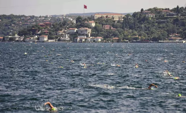 Participants compete in a 6.5km swimming race across the Bosporus Strait, from the Asian side to the European side, in Istanbul, Turkey, Sunday, Aug. 24, 2025. (AP Photo/Khalil Hamra)