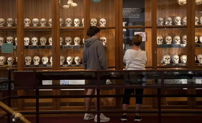 Milo Tivy, 16, and Shari Tivy, 75, look at a display of human skulls at the Mütter Museum on Thursday, Aug. 21, 2025, in Philadelphia. (AP Photo/Mingson Lau)