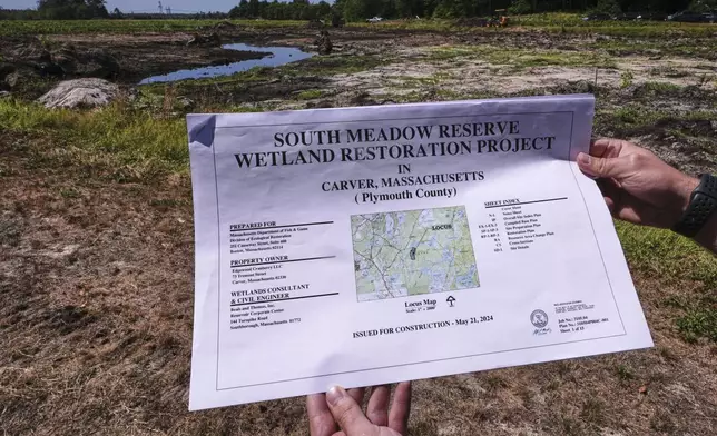 Engineer Robert Kennedy, holds up the restoration site plan for the South Meadow Bogs while visiting the site, Thursday, Aug. 7, 2025, in Carver, Mass. (AP Photo/Charles Krupa)