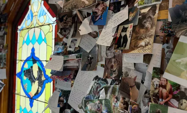 Thousands of photos of dogs and notes left by pet owners cover the walls inside the Dog Chapel at Dog Mountain, a 150-acre dog park created by Vermont folk artist Stephen Huneck, Thursday, Aug. 7, 2025, in St. Johnsbury, Vt. (AP Photo/Amanda Swinhart)