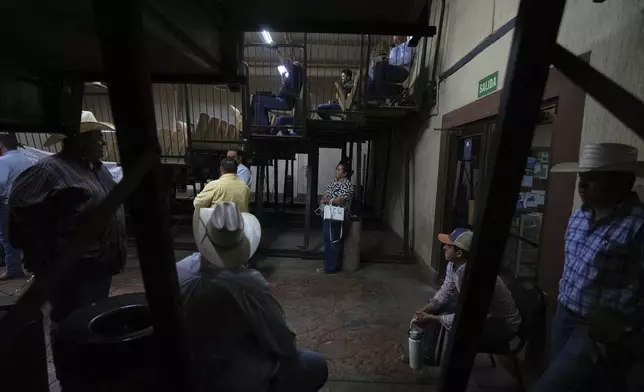 Cattle buyers and sellers attend an auction in Hermosillo, Sonora state, Mexico, Tuesday, July 29, 2025. (AP Photo/Fernando Llano)