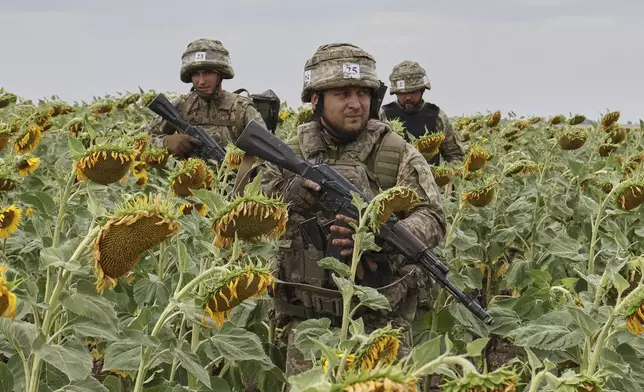 In this photo provided by Ukraine's 65th Mechanized Brigade press service, recruits practice military skills on a training ground on a sunflower field in the Zaporizhzhia region, Ukraine, Monday, Aug. 11, 2025, (Andriy Andriyenko/Ukraine's 65th Mechanized Brigade via AP)