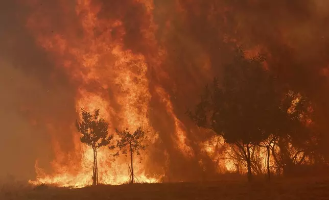 A wildfire burns out of control in a forest near Rebordondo village, near Ourense, in northwestern Spain, Monday, Aug. 18, 2025.(AP Photo/Pablo Garcia)