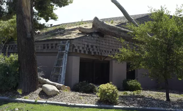 Workers take a break from cutting up a tree that damaged the roof of a business the day after violent monsoon storms that included a towering wall of dust known as a haboob pushed through the Phoenix metro area, Tuesday, Aug. 26, 2025, in Tempe, Ariz. (AP Photo/Ross D. Franklin)