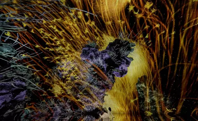 The movement of hundreds of thousands of birds is beautiful and mysterious, like a single, giant life form. (teamLab, The Way of Birds © teamLab)