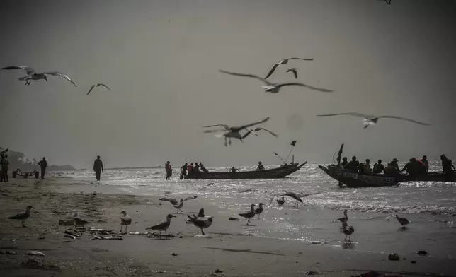 Artisanal fishermen head out to fish in their boats at dusk from Brufut beach, Gambia, on March 25, 2025. (AP Photo/Grace Ekpu)