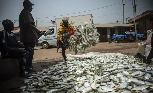 Workers gather freshly caught fish at the fish landing site in Tanji, Gambia, on March 25, 2025. (AP Photo/Grace Ekpu)