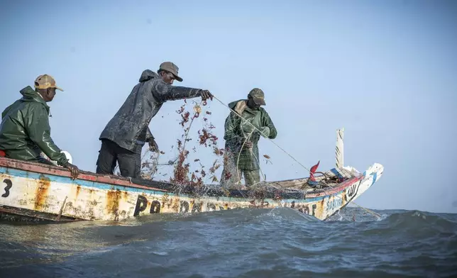 Artisanal fishermen cast their nets in the waters off the coast of Gambia, on March 26, 2025. (AP Photo/Grace Ekpu)