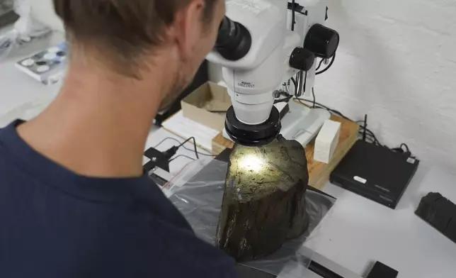 Dendrochronologist Jonas Ogdal Jensen looks at a suspected Stone Age tree trunk, unearthed at an 8,500-year-old coastal settlement submerged in his lab at Moesgaard Museum in Aarhus, Denmark. Aug.18, 2025. (AP Photo/James Brooks)