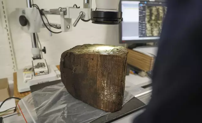 A suspected Stone Age tree trunk, unearthed at an 8,500-year-old coastal settlement submerged by sea level rise in the Bay of Aarhus Aarhus Denmark. Aug.18, 2025. (AP Photo/James Brooks)