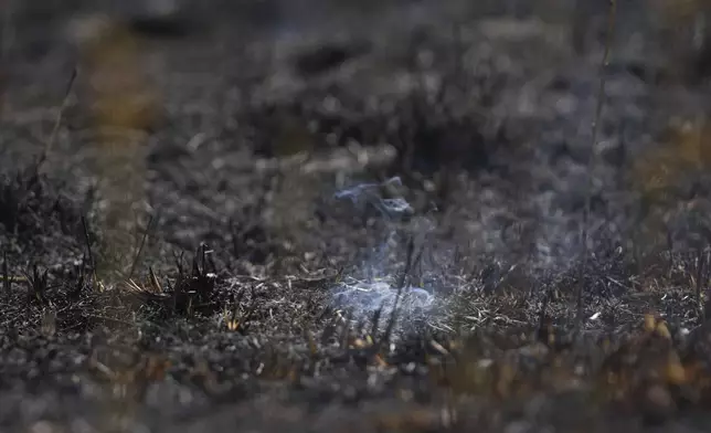 A fire smolders as members of the London Fire Brigade tackle a wildfire on Wanstead Flats in London, Tuesday, Aug. 12, 2025. (AP Photo/Joanna Chan)