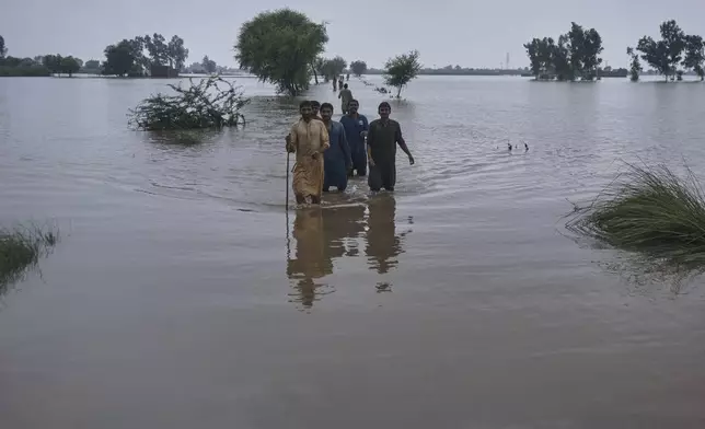 Villagers wade through a flooded area after torrential rains and rising water level in the rivers due to water release from Indian dams, in Pindi Bhattian, Pakistan, Sunday, Aug. 31, 2025. (AP Photo/A. Rizvi)