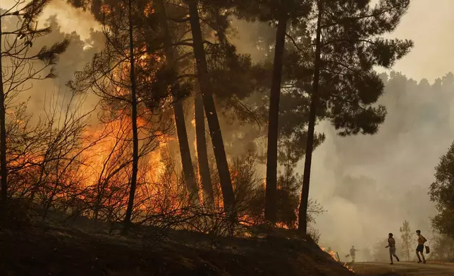 Local residents and volunteers try to put out a wildfire in Larouco, northwestern Spain, Wednesday, Aug. 13, 2025. (AP Photo/Lalo R. Villar)