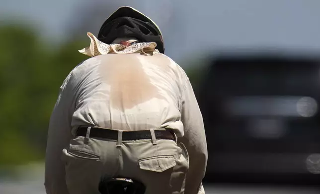 FILE - Sweat shows through the shirt of a cyclist pedaling up a hill July 23, 2025, in St. Louis. (AP Photo/Jeff Roberson, File)