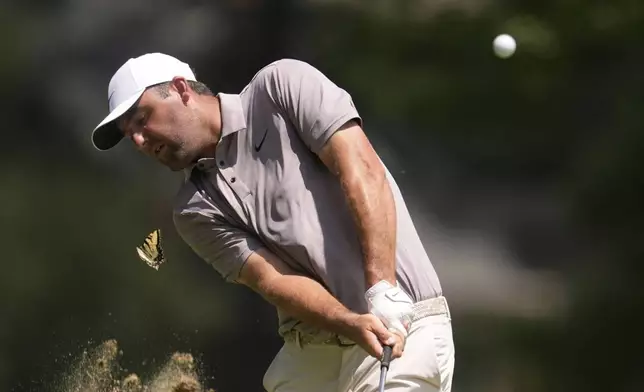 Scottie Scheffler hits on the first fairway as a butterfly flies by during the final round of the St. Jude Championship golf tournament Sunday, Aug. 10, 2025, in Memphis, Tenn. (AP Photo/George Walker IV)