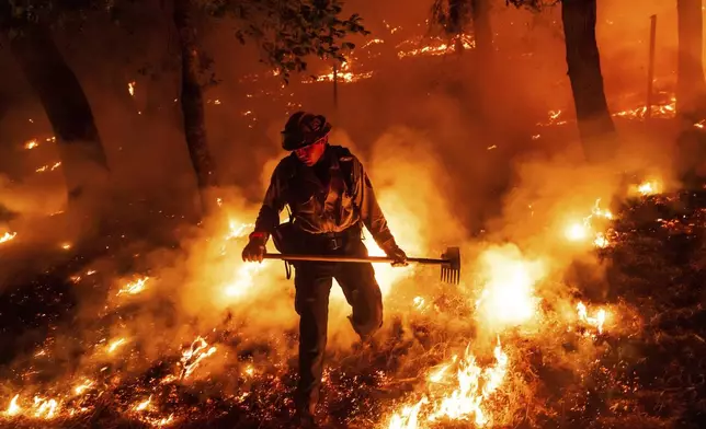 A firefighter battles the Pickett Fire burning in the Aetna Springs area of Napa County, Calif., on Saturday, Aug. 23, 2025. (AP Photo/Noah Berger)
