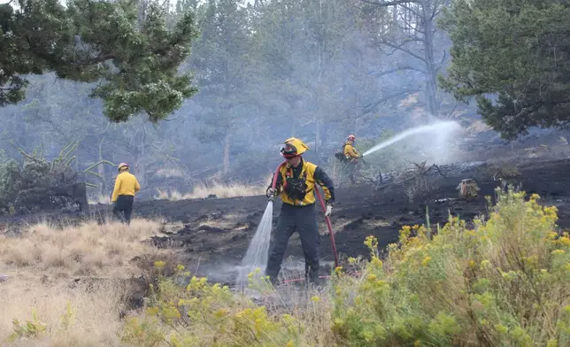 Western Lane and Eugene Springfield Fire Department crews work together on a mop up operation near structures on Geneva Way, during the Flat Fire, near Sisters, in Deschutes County, Ore., Monday Aug. 25, 2025. (Andy Tullis/The Bulletin via AP)