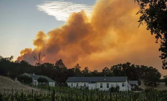 The Pickett Fire burns above a vineyard in the Aetna Springs area of Napa County, Calif., on Saturday, Aug. 23, 2025. (AP Photo/Noah Berger)