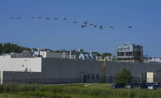 A flock of Canada Geese fly over a Boar's Head deli meat plant in New Castle, Ind., Wednesday, Aug. 6, 2025. (AP Photo/Michael Conroy)