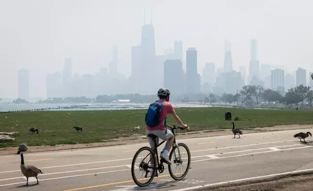 People sun tan on the Lakefront Trail on the North Side as a haze of Canadian wildfire smoke blankets the Chicago area and creates poor air quality, Thursday, July 31, 2025. (Ashlee Rezin/Chicago Sun-Times via AP)