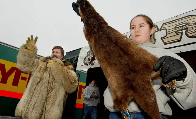 FILE - Gloriella Curtis holds up a river otter hide as Steve Childs calls off the bids during the Fur Rendezvous annual auction in Anchorage, Alaska, Feb. 29, 2004. (AP Photo/Al Grillo, File)