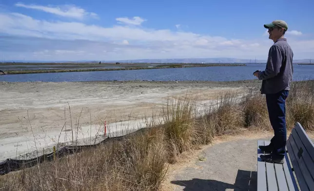 Dave Halsing, executive project manager at the California State Coastal Conservancy, looks at the Pond A1 site Thursday, July 24, 2025, in Mountain View, Calif. (AP Photo/Godofredo A. Vásquez)