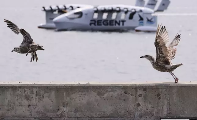 Seagulls take flight as the REGENT Viceroy Seaglider, a winged passenger ferry, returns from a test run on Narragansett Bay, Wednesday, Aug. 6, 2025, off the coast of North Kingstown, R.I. (AP Photo/Charles Krupa)