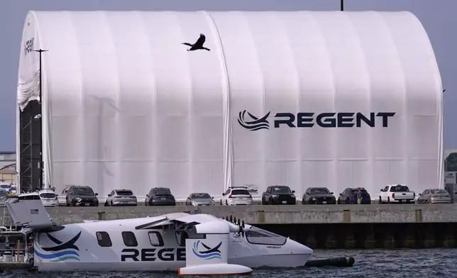 A cormorant flies over the REGENT Viceroy Seaglider, a winged passenger ferry, while tied to a dock on Narragansett Bay prior to a test run, Wednesday, Aug. 6, 2025, in North Kingstown, R.I. (AP Photo/Charles Krupa)
