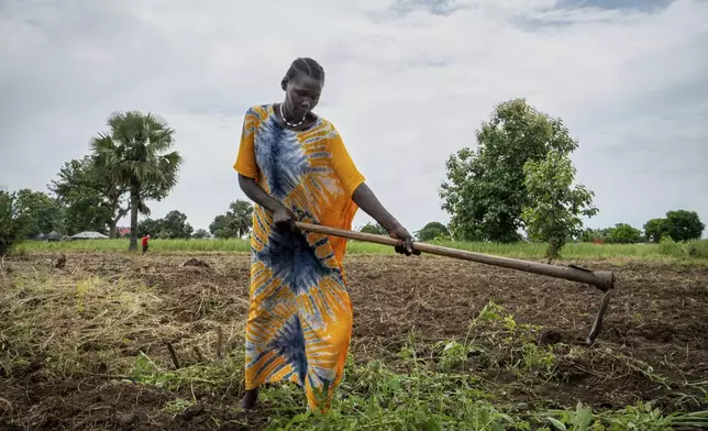 Joy Falatiya, a 35-year-old mother of five and a client of a specialized mental health clinic led by Amref Health Africa, digs soil with a hoe at a farm in Mundri, South Sudan, June 24, 2025. (AP Photo/Florence Miettaux)