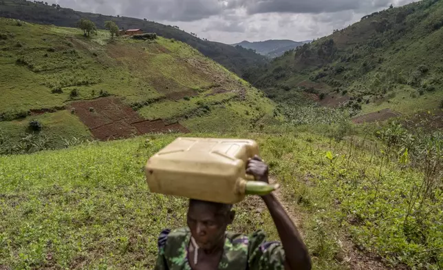 Joy Okwanjire, who is in her 70s, carries a 10-liter jug as part of her daily hike among steep hills to collect water from a valley stream nearly 500 feet below and over a kilometer away, Wednesday, Nov. 20, 2024, in Mubushuro, in western Uganda. (AP Photo/David Goldman)