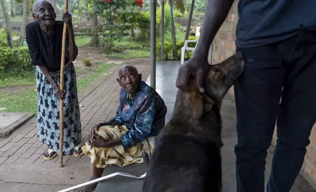 Donanta Nanyanzi, who is in her 80s, left, and Veronica Nakattee, who's unsure of her age, sit in the garden as the sole caretaker Emmanuel Bakaali, pets the resident dog at a small care home for seniors, Saturday, Nov. 16, 2024, in Mukono, Uganda. (AP Photo/David Goldman)