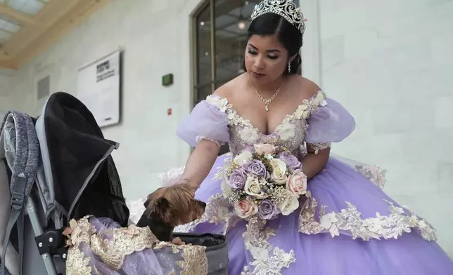 Leyla Portillo pets her dog Canela before the start of her quinceañera portrait session at City Hall in San Francisco, Monday, April 28, 2025. (AP Photo/Jeff Chiu)