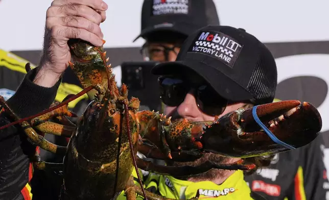 Ryan Blaney holds a lobster in Victory Lane after winning a NASCAR Cup Series race at New Hampshire Motor Speedway, Sunday, Sept. 21, 2025, in Loudon, N.H. (AP Photo/Charles Krupa)