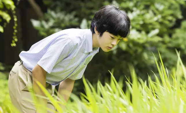 FILE - This photo provided by the Imperial Household Agency of Japan shows Prince Hisahito, Emperor Naruhito's nephew, posing for a photograph in the garden of the Akasaka imperial property residence in Tokyo on Aug. 7, 2022. (The Imperial Household Agency of Japan via AP, File)