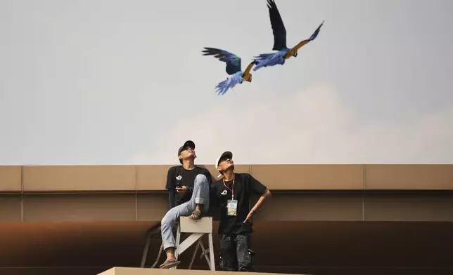 People watch macaws in flight during a free fly competition in Sentul, Indonesia, Saturday, Aug. 23, 2025. (AP Photo/Tatan Syuflana)